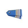 Pair of Shoulder Epaulettes with Nickel Button