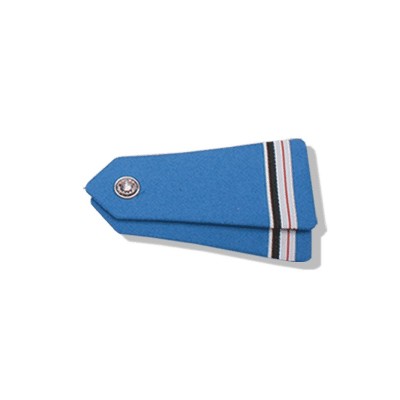 Pair of Shoulder Epaulettes with Nickel Button