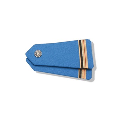 Pair of Shoulder Epaulettes with Nickel Button