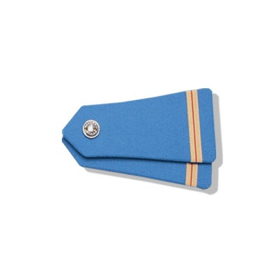 Pair of Shoulder Epaulettes with Nickel Button