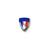 Municipal Police Badge
