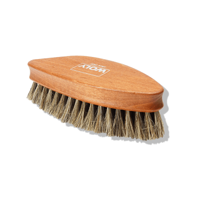 Polishing Brush