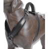Leather Harness size 1