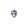ASVP Patch