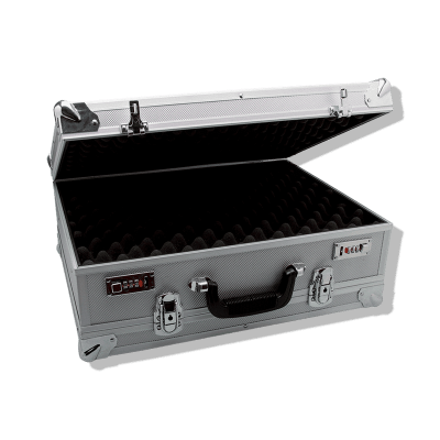 Double Handgun Case