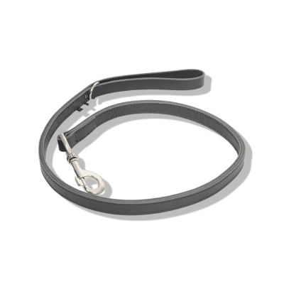 Leather Leash