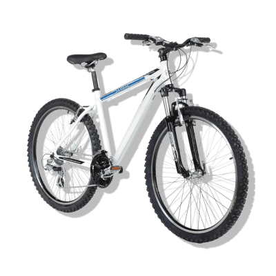 All-Terrain Bicycle