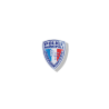 Municipal Police Patch