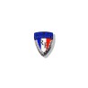 Municipal Police Badge