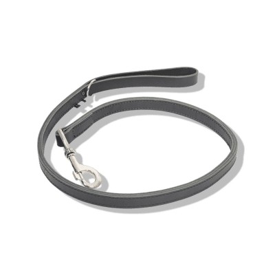 Leather Leash