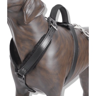 Leather Harness size 1