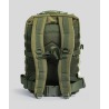 Sac à dos BLAKE 40L OD Green