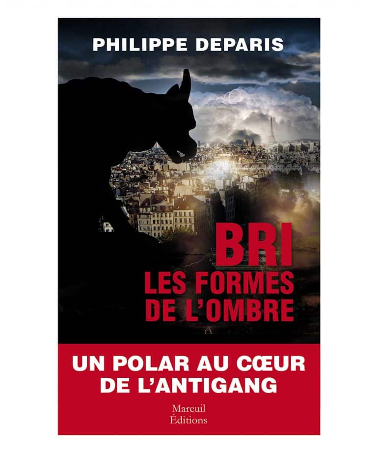 Livre BRI les formes de l'ombre